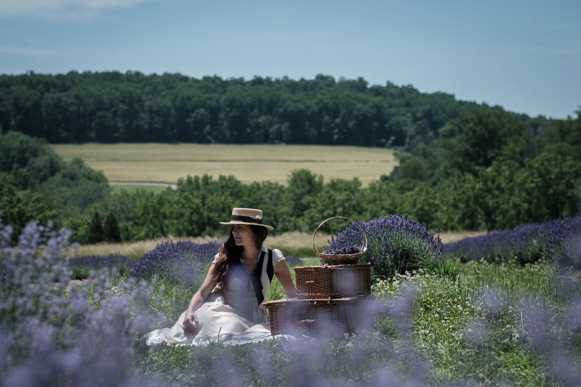 Final "Bring Your Own" Picnic in the Lavender Fields