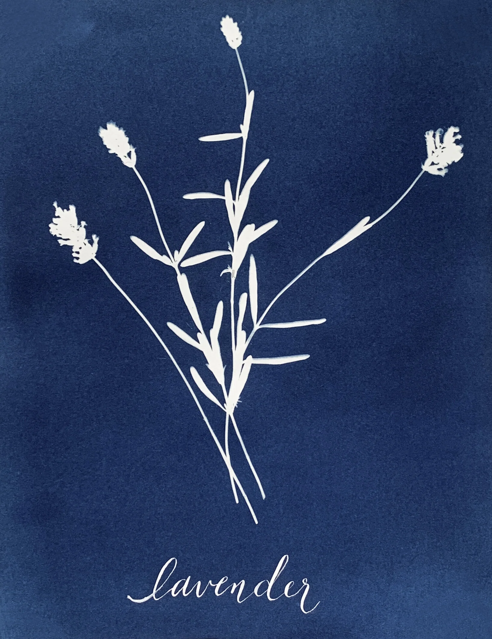 Cyanotype Workshop with Atwater Designs