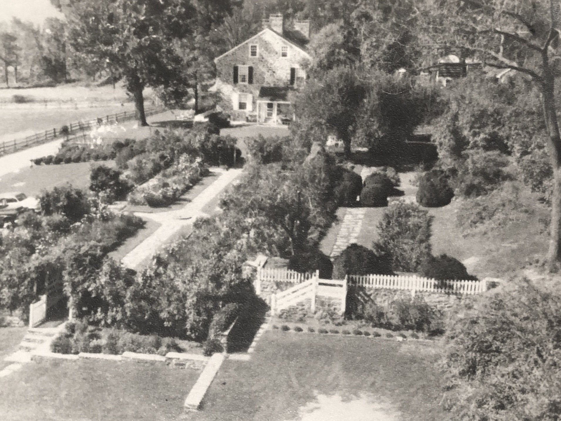 Garden 1950s
