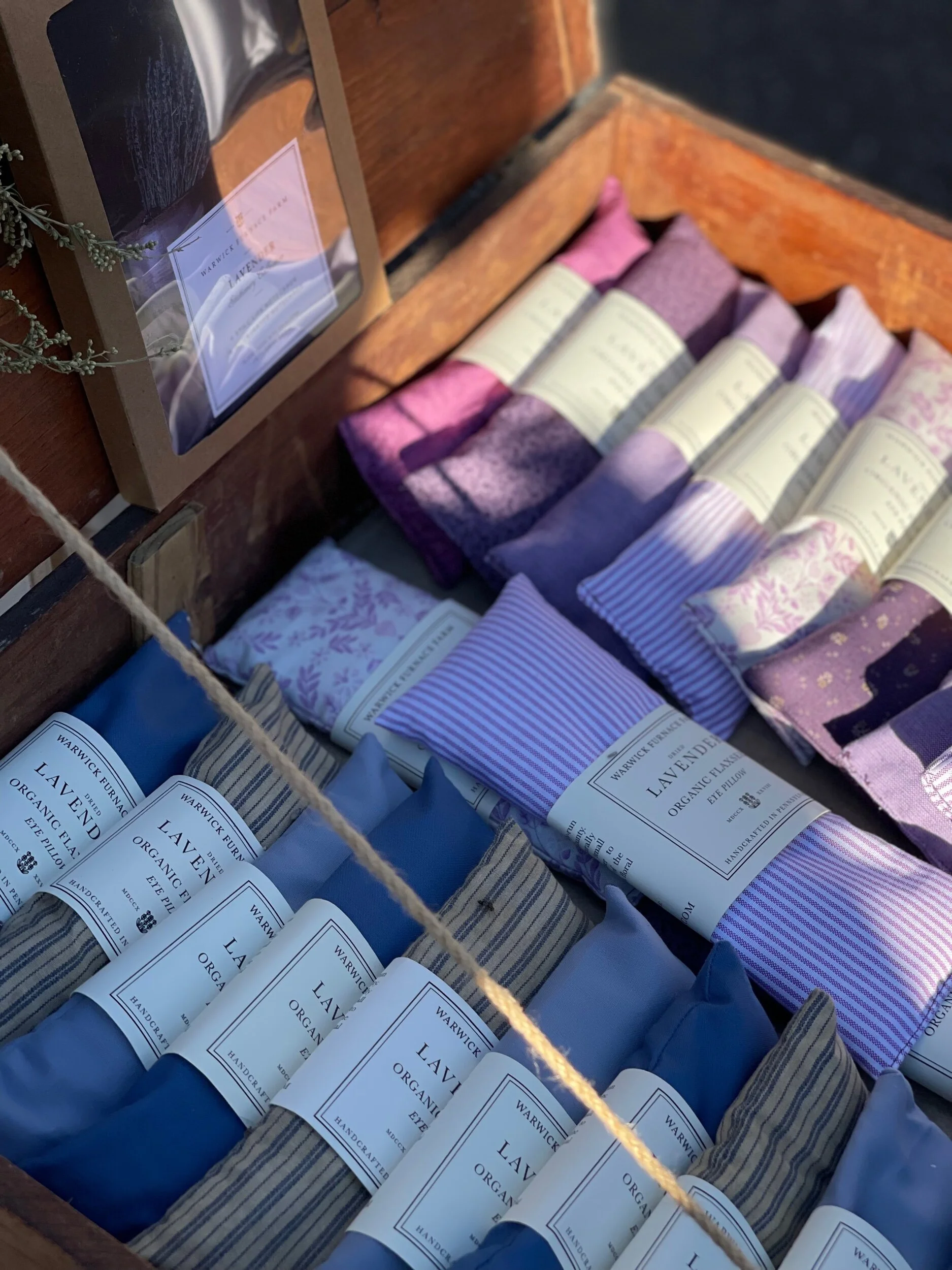 728AC309-C77C-4CBB-AFAB-CEF12284E743