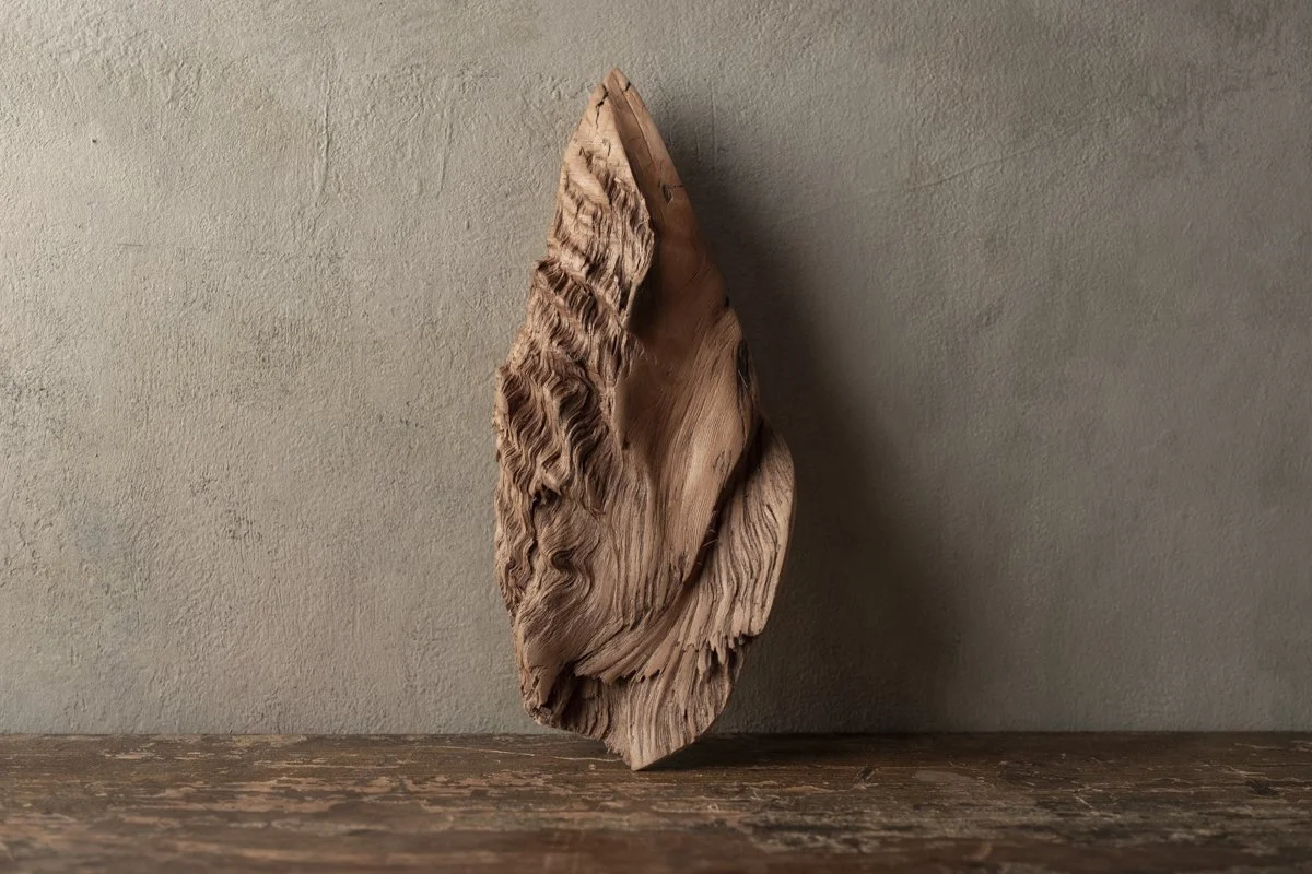 Fledgling Seed Flames by Michael Littlewood Biddison