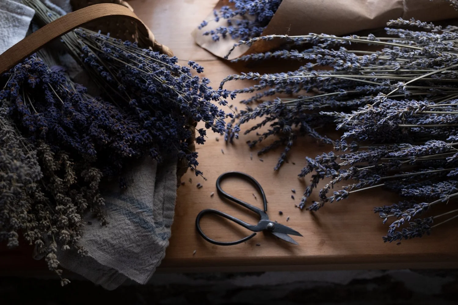 LavenderBundles__DSF5984.jpg