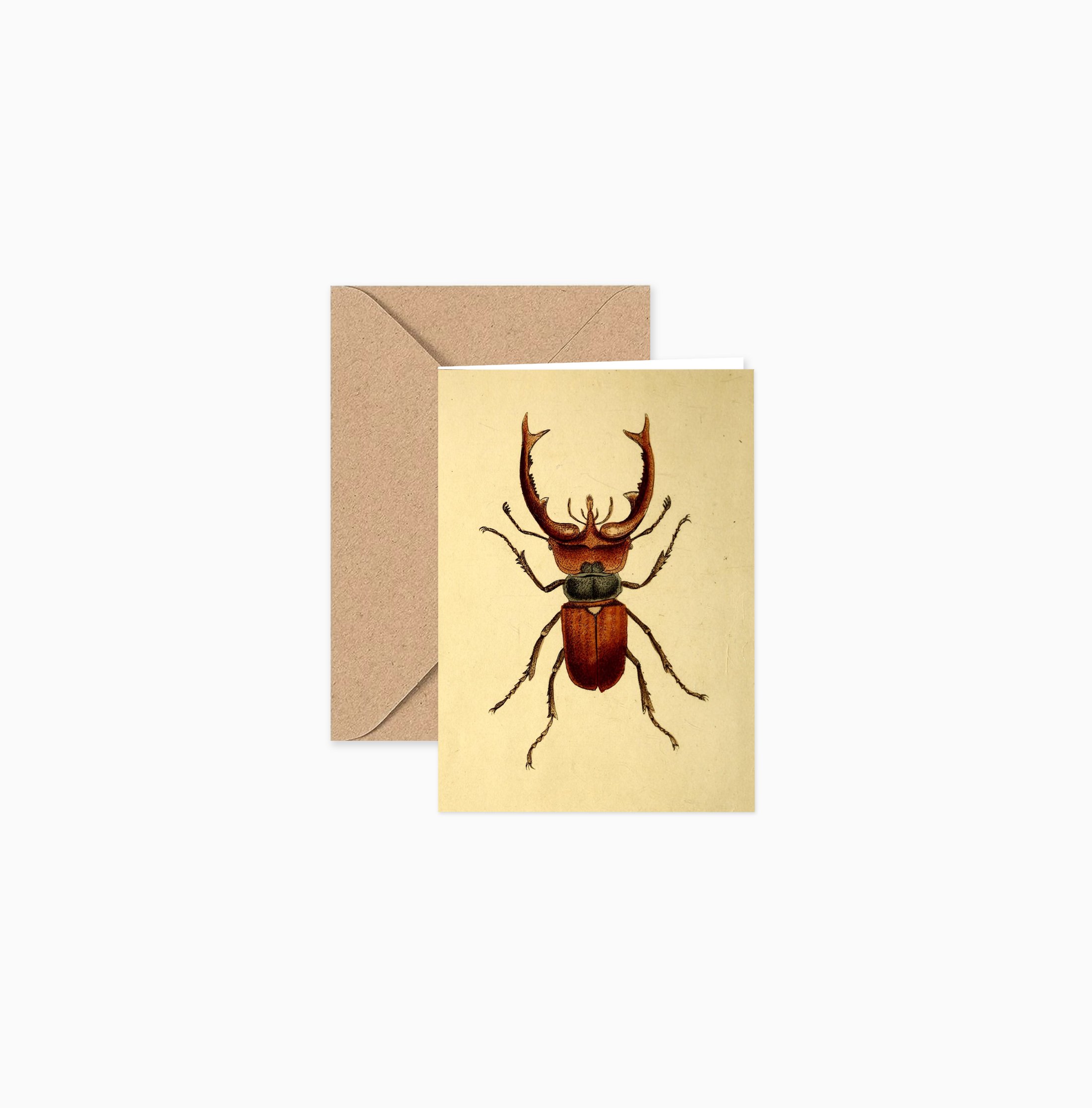 PaperGoods_Illustrated_MiniStationery_StagBeetle.jpg