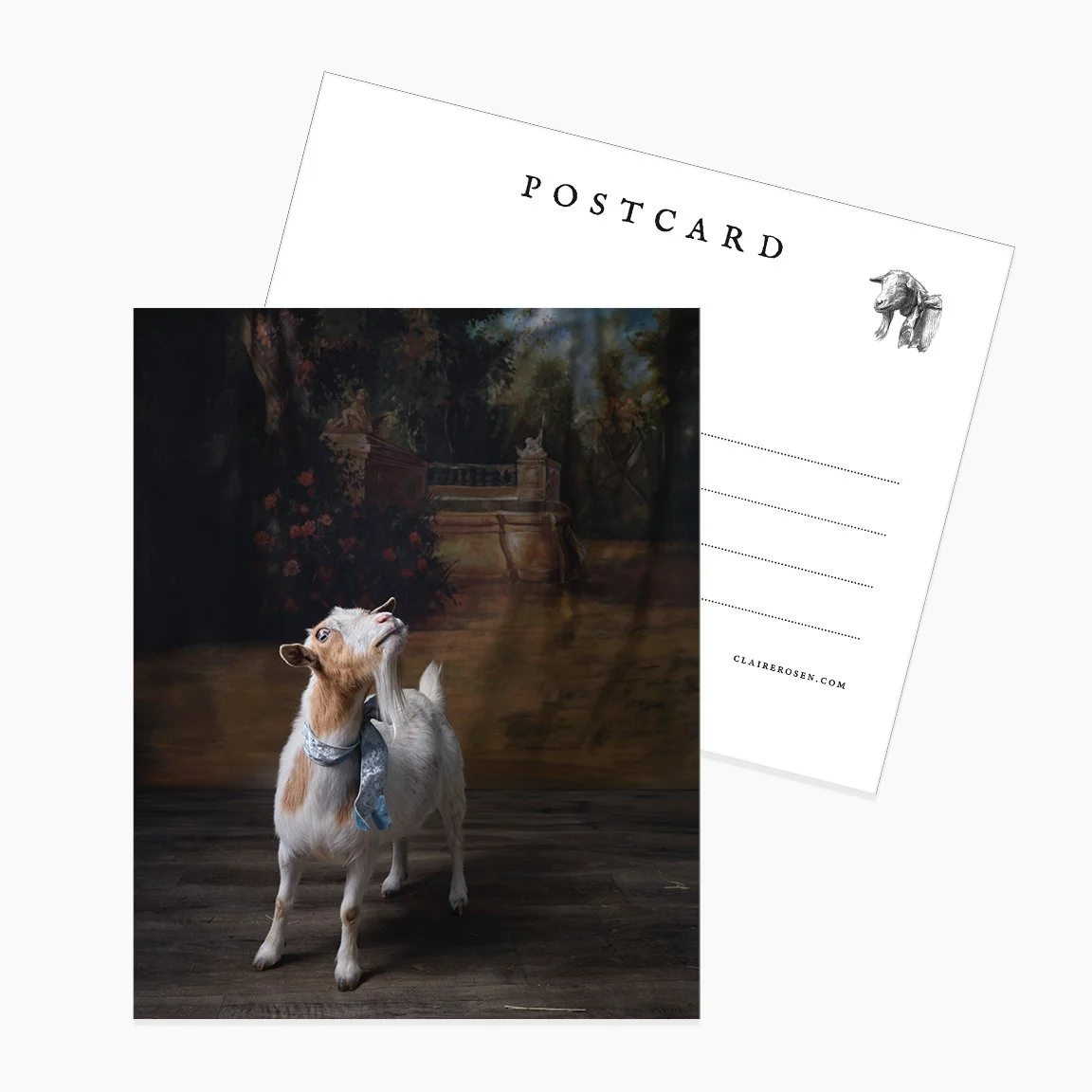 Postcard_Violet.jpg
