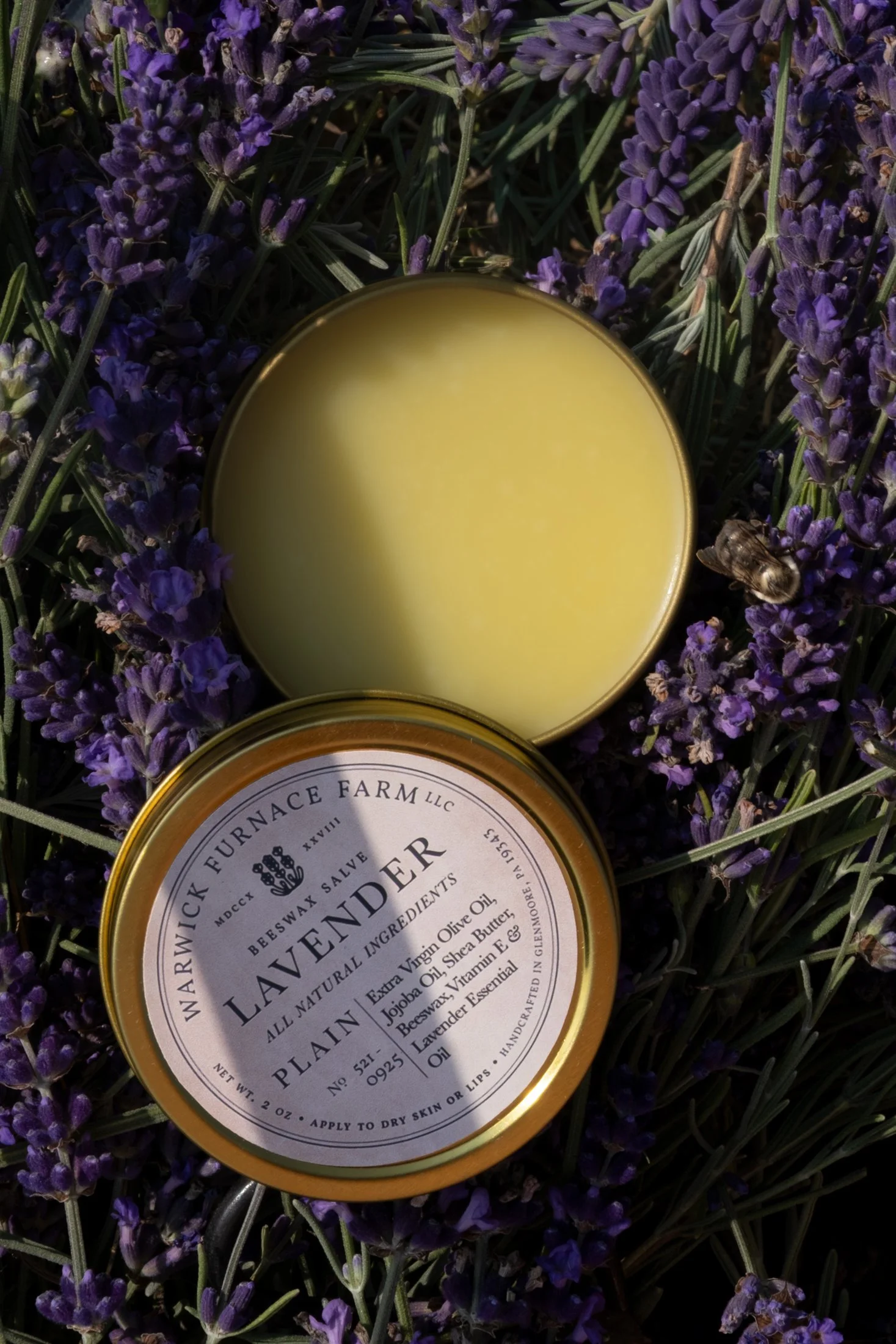Products_Salve_DSF1237.jpg