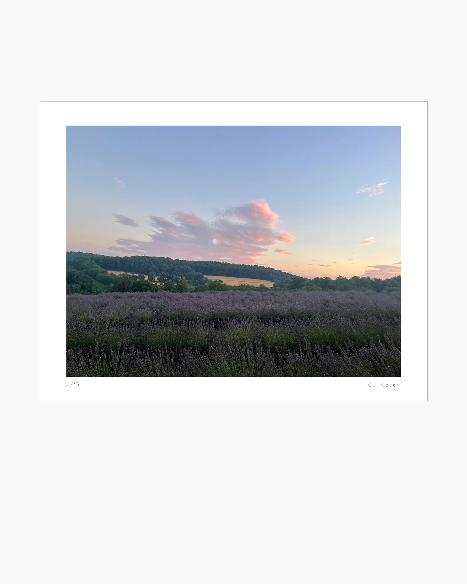 Cotton Candy Clouds Field Study on July 6, 2024 by Claire Rosen