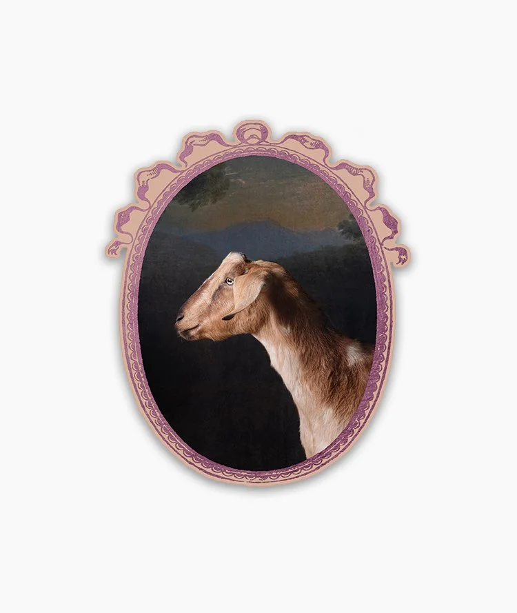 Sticker_GoatPortraits_Kiyoshi__DSF7290.jpg