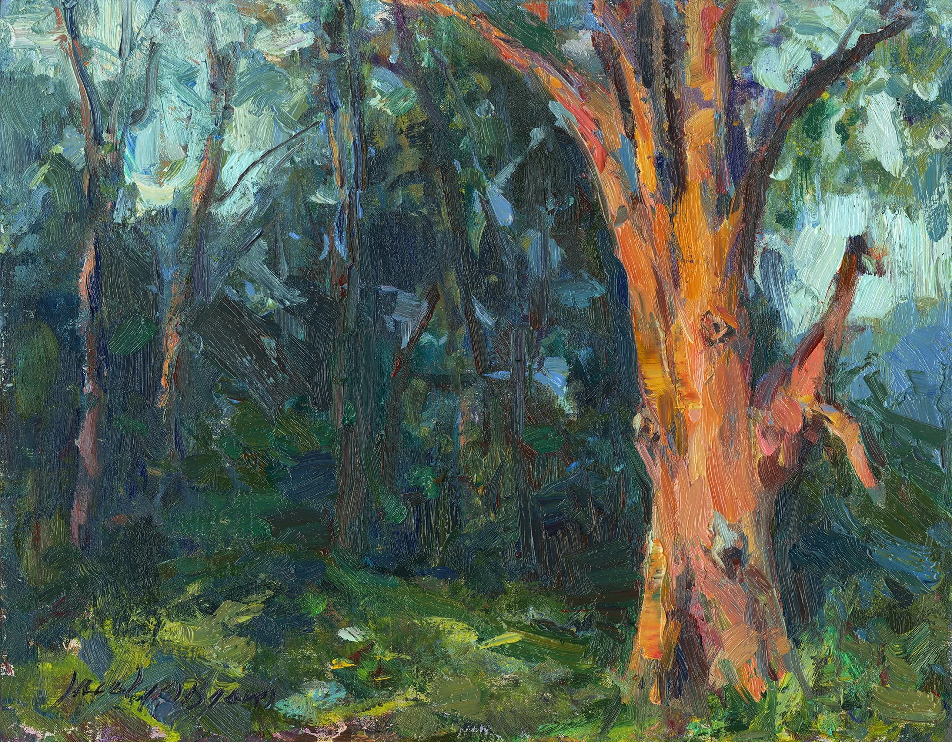 Anna's Oak (2025) by Jacalyn Beam