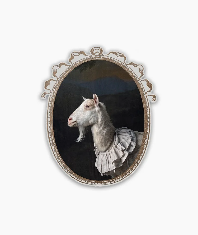 Sticker_GoatPortraits_Oliver__DSF7341.jpg