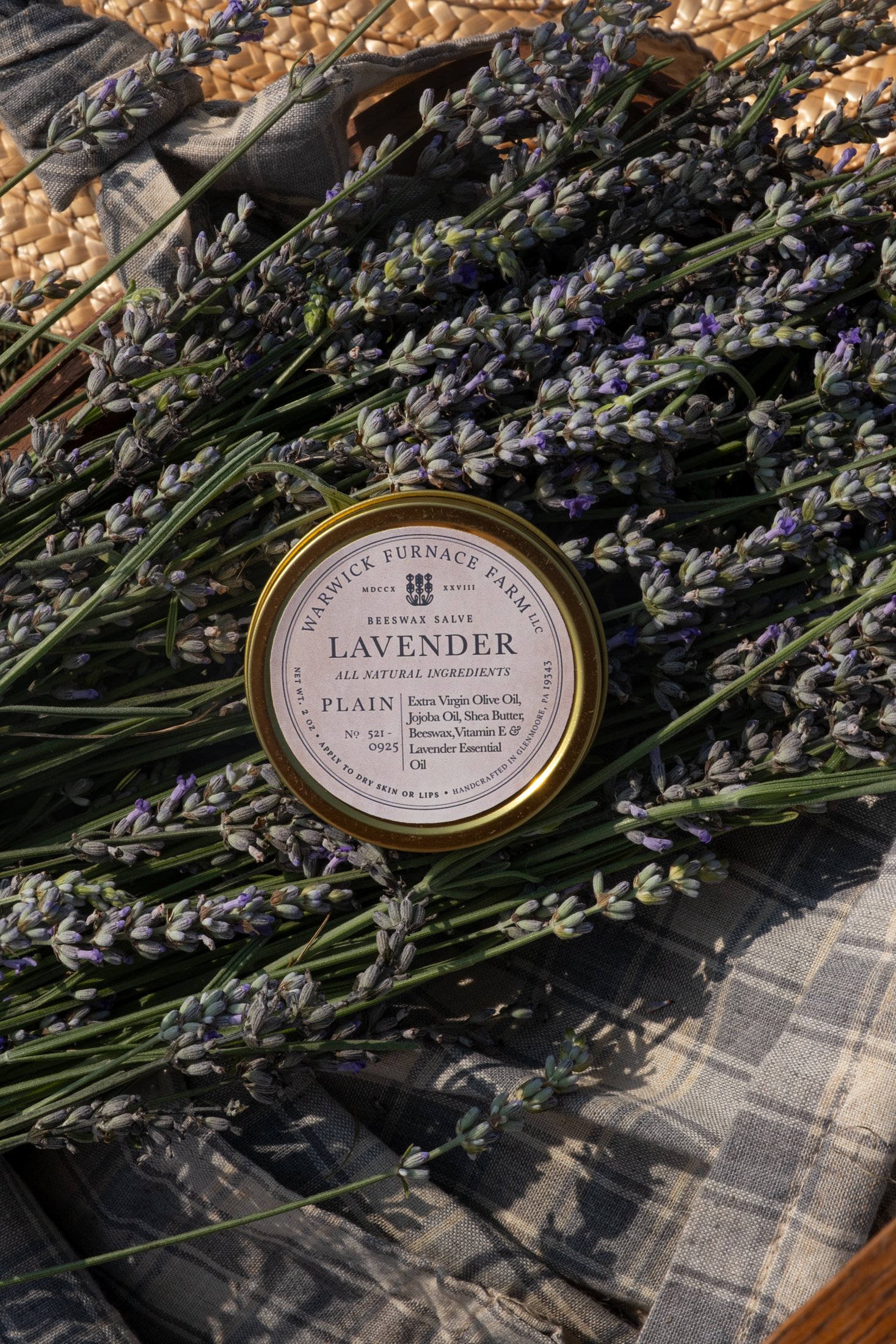 Products_Salve_DSF1233.jpg