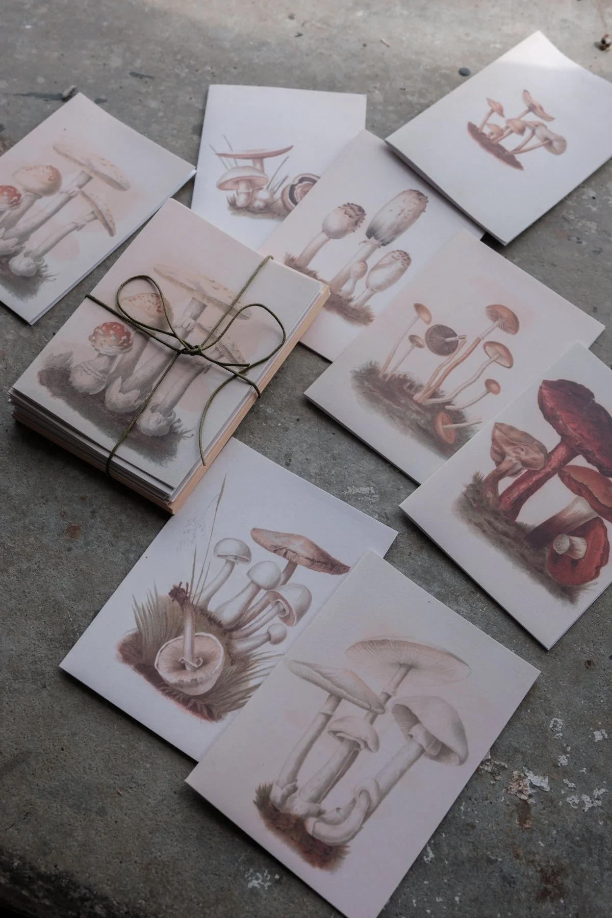 PaperGoods_Illustrated_StationeryProductLine_Stationery__DSF6358.jpg
