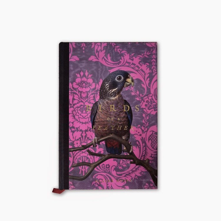 Birds of a Feather Book Launch Party (12/3)