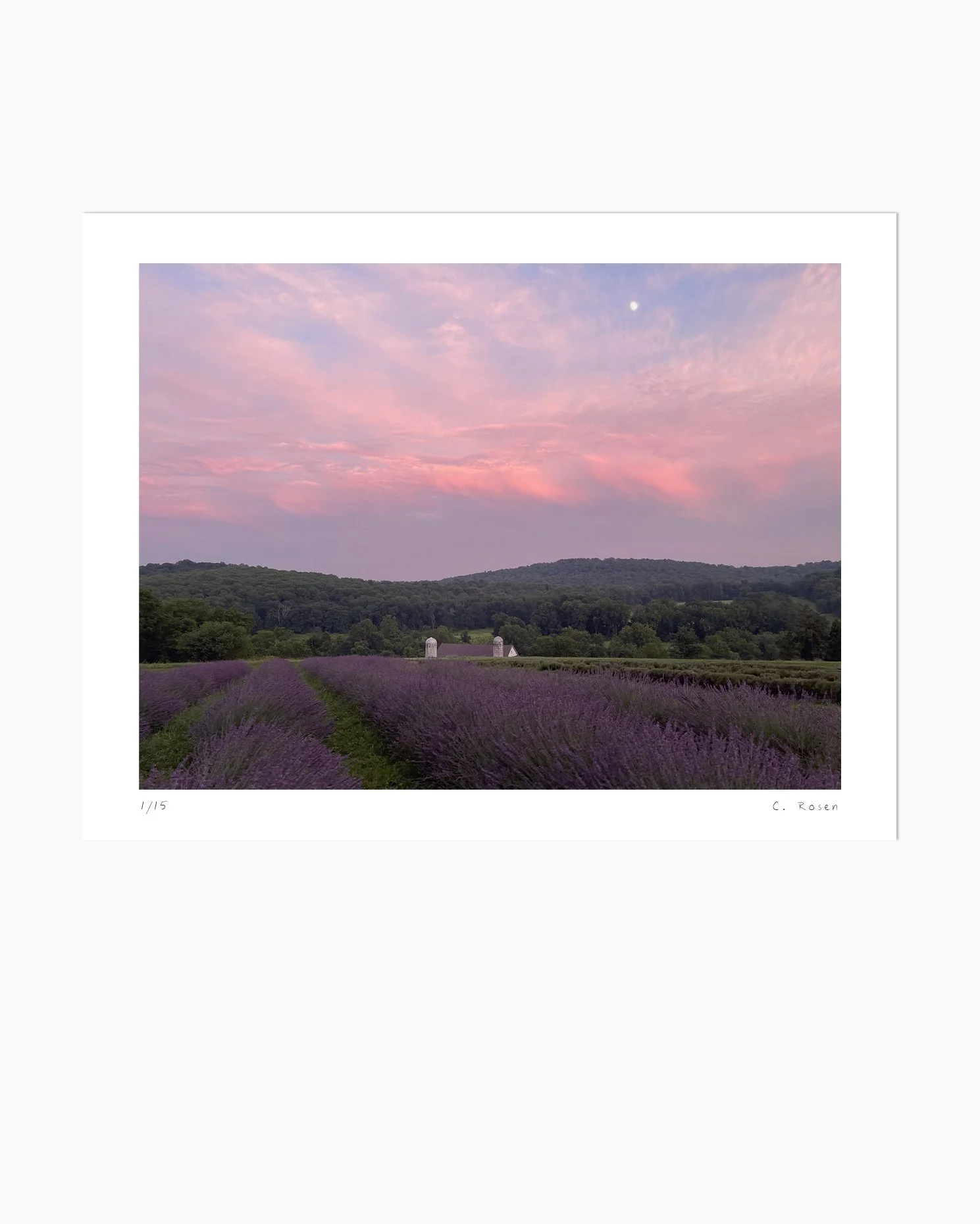 Field Study on July 9, 2022 by Claire Rosen