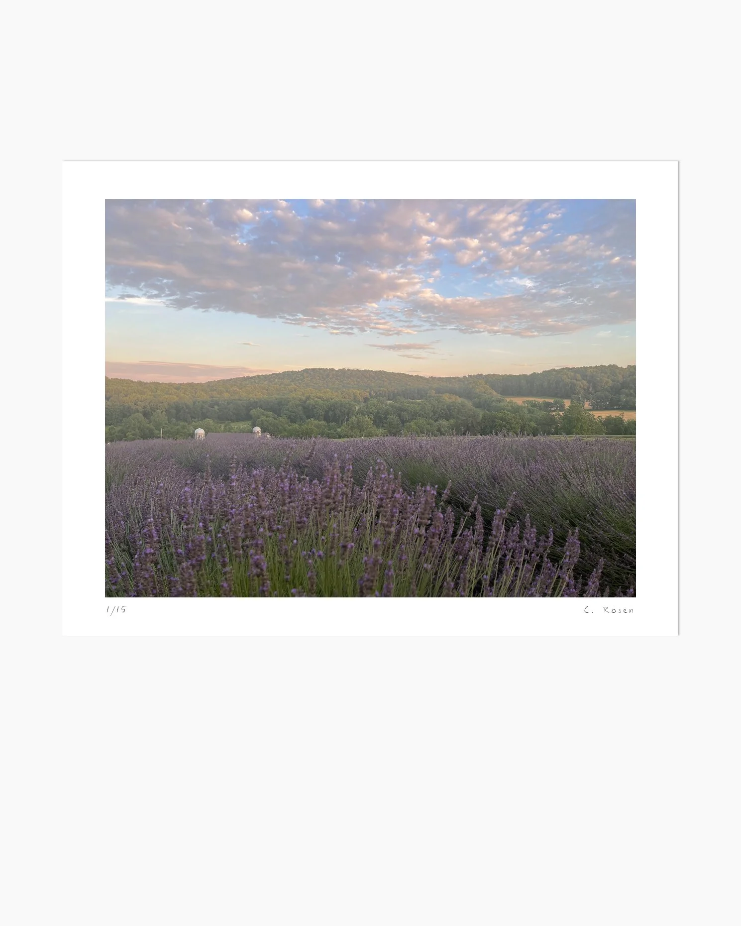 Field Study at Dusk on July 7, 2024 by Claire Rosen