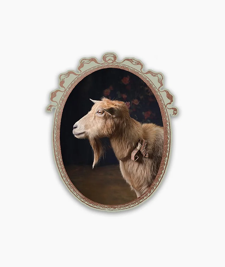 Sticker_GoatPortraits_Anthony__DSF7112.jpg