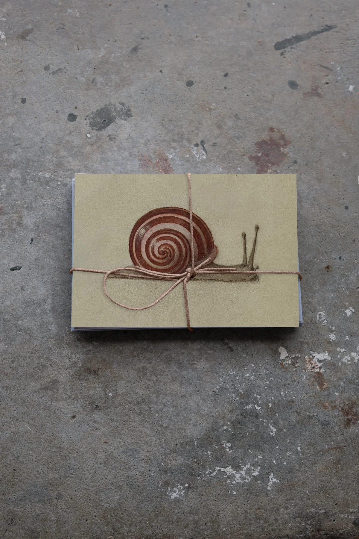 PaperGoods_Illustrated_StationeryProductLine_Stationery__snail.jpg