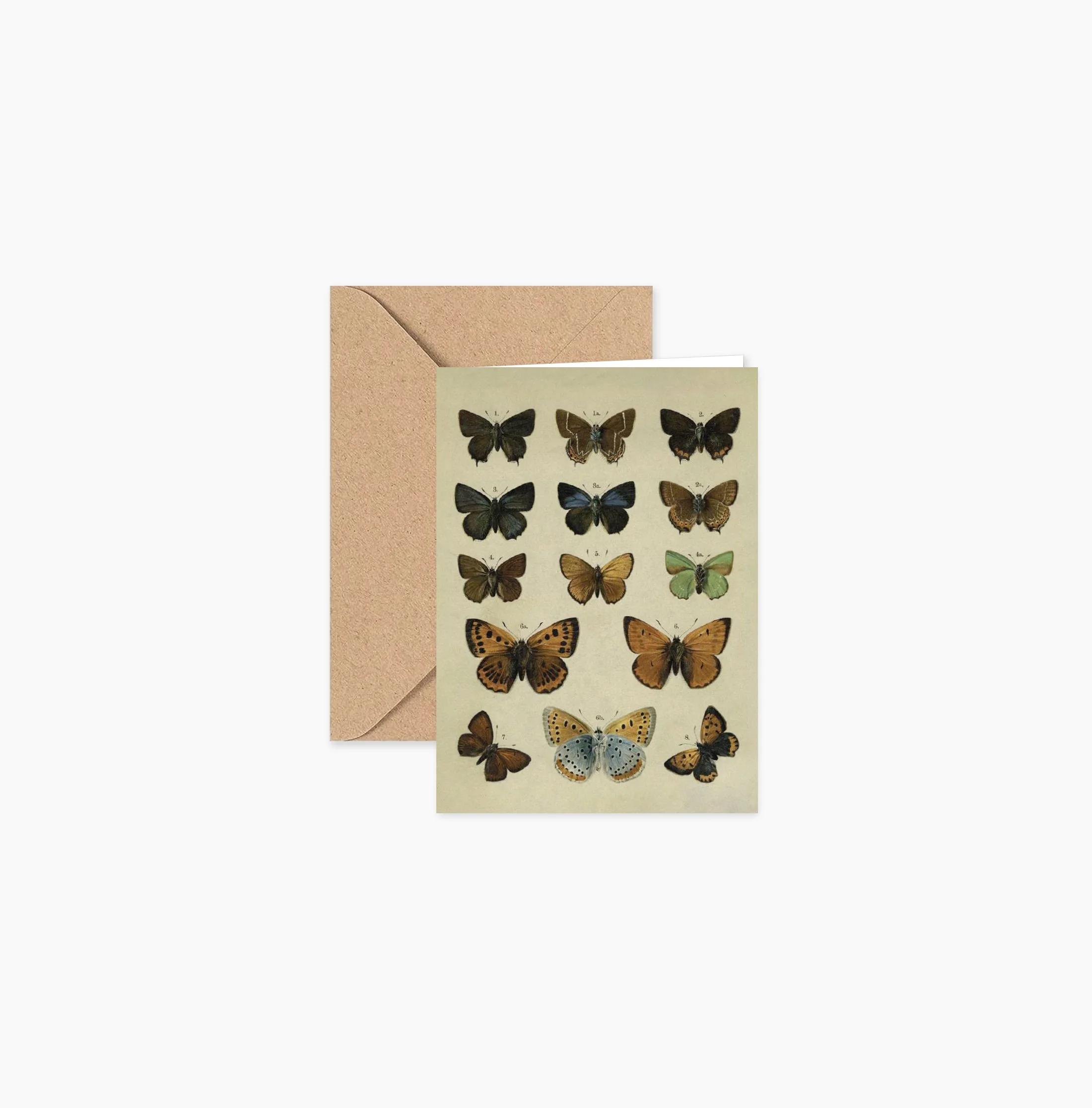 PaperGoods_Illustrated_StationeryCR_Butterflys_MiniStationery.jpg