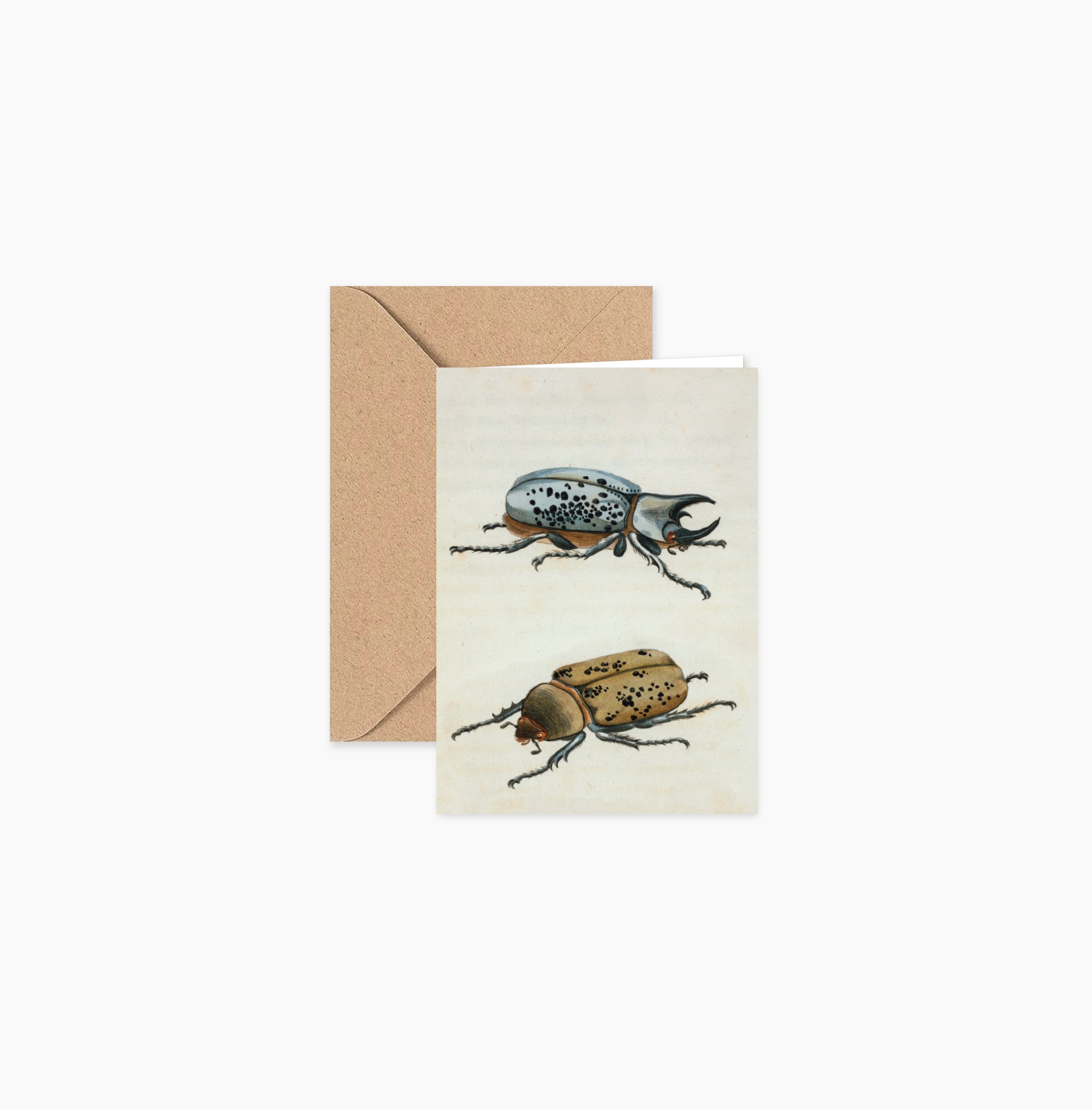 PaperGoods_Illustrated_StationeryBeetle_MiniStationery.jpg