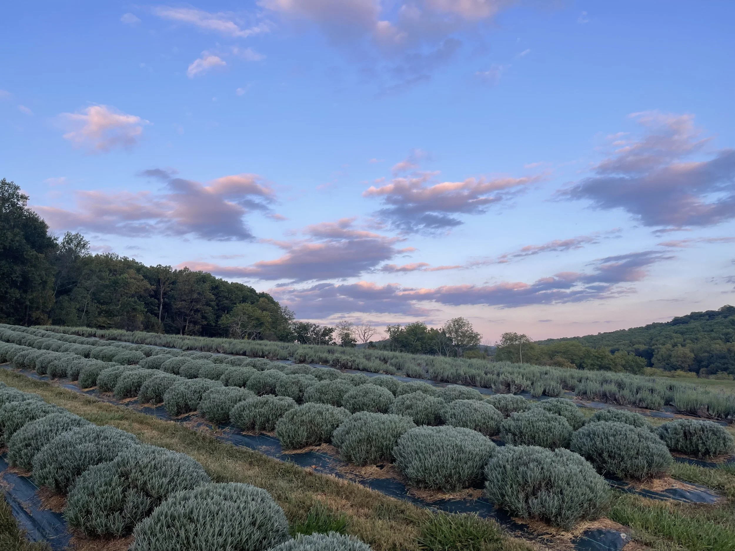 In Awe: A Mindfulness Series