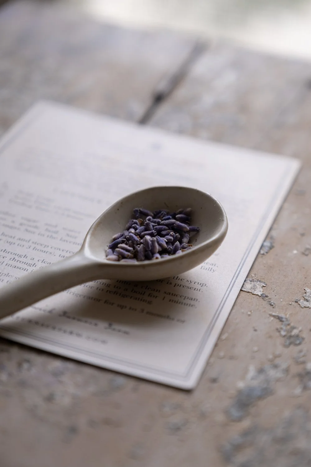 LavenderProducts__DSF6334.jpg