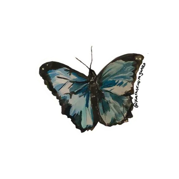 Blue-Morpho_2025.webp