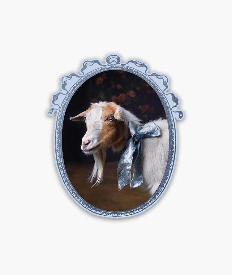 Sticker_GoatPortraits_Ivy_DSF7202.jpg