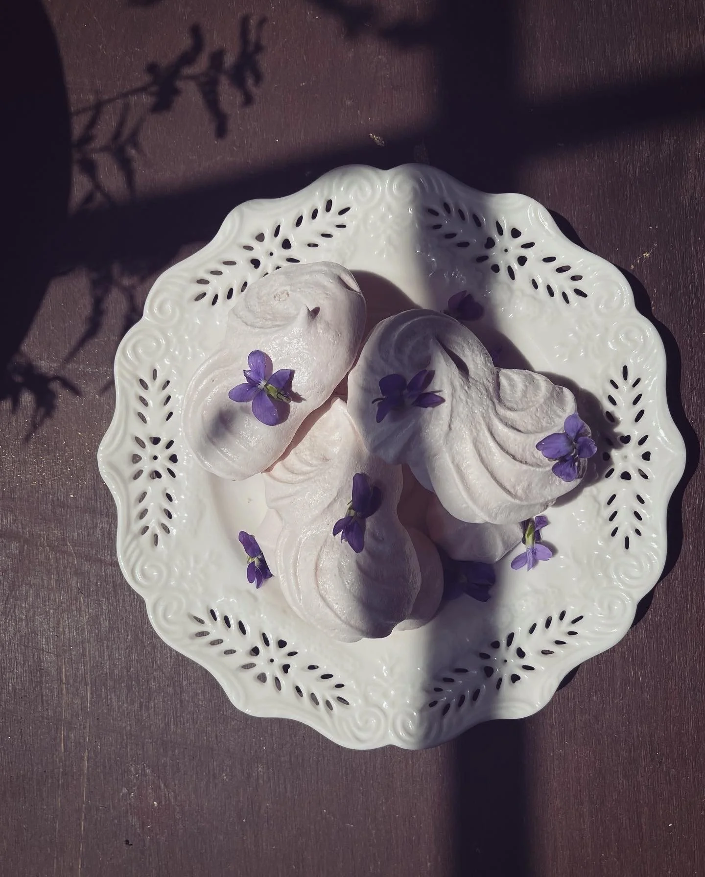 2023-04-24 19.46.59-1.jpg