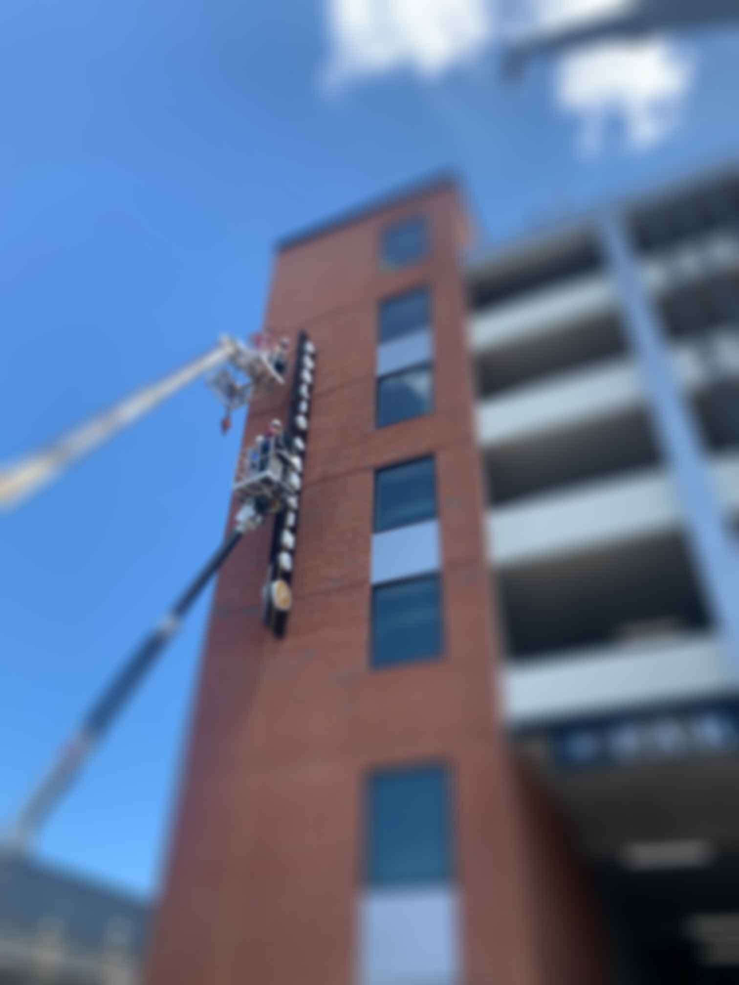 Joey | ★★★★★ 