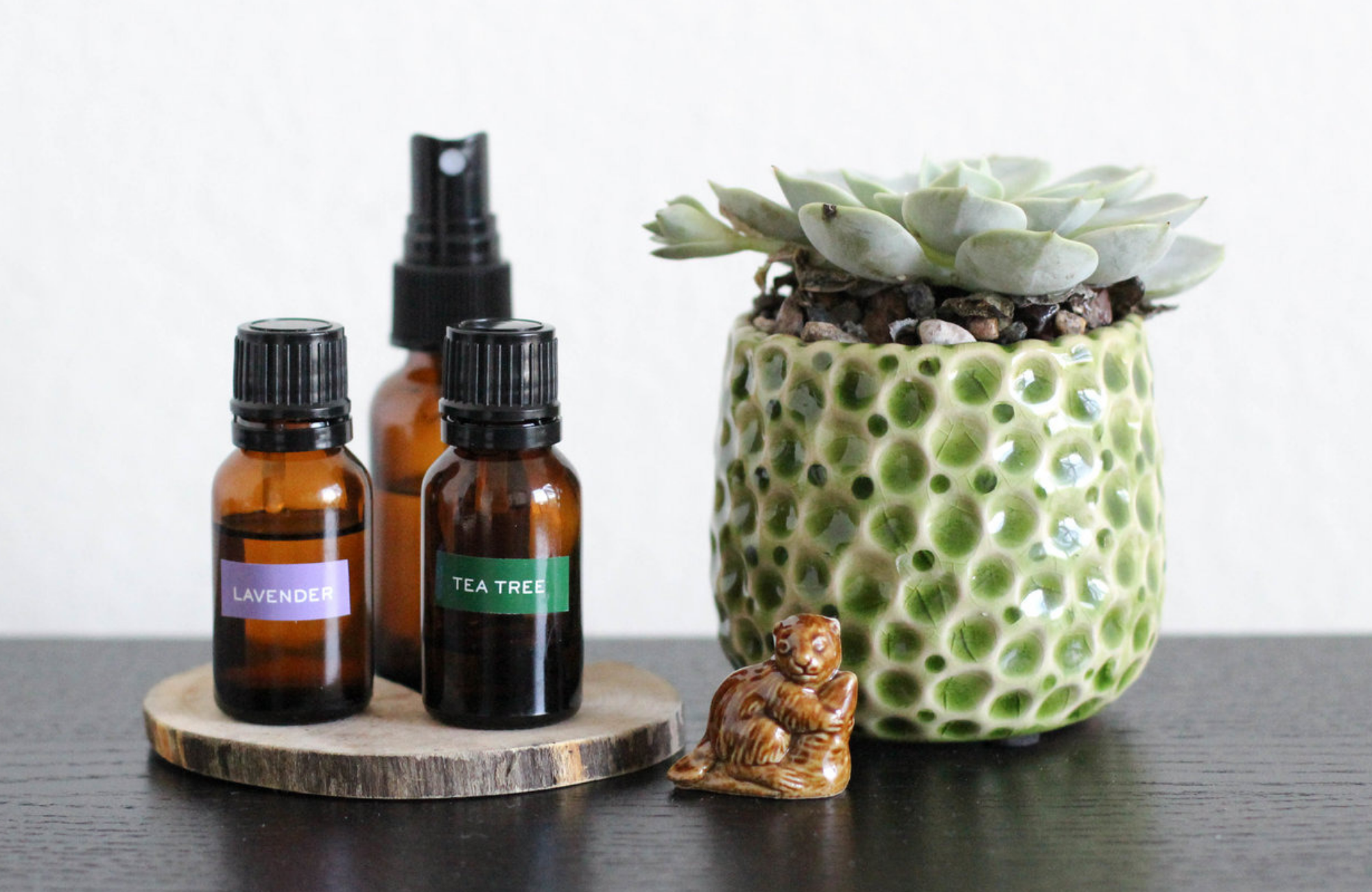 DIY Succulent Bug Spray
