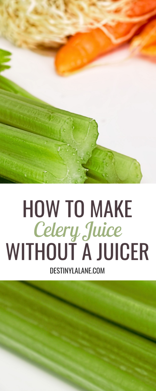 melon Se venligst omdrejningspunkt How to make celery juice without a juicer (simple + easy clean) — Destiny  Lalane