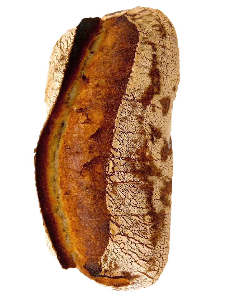 hero-page-bread-image.png