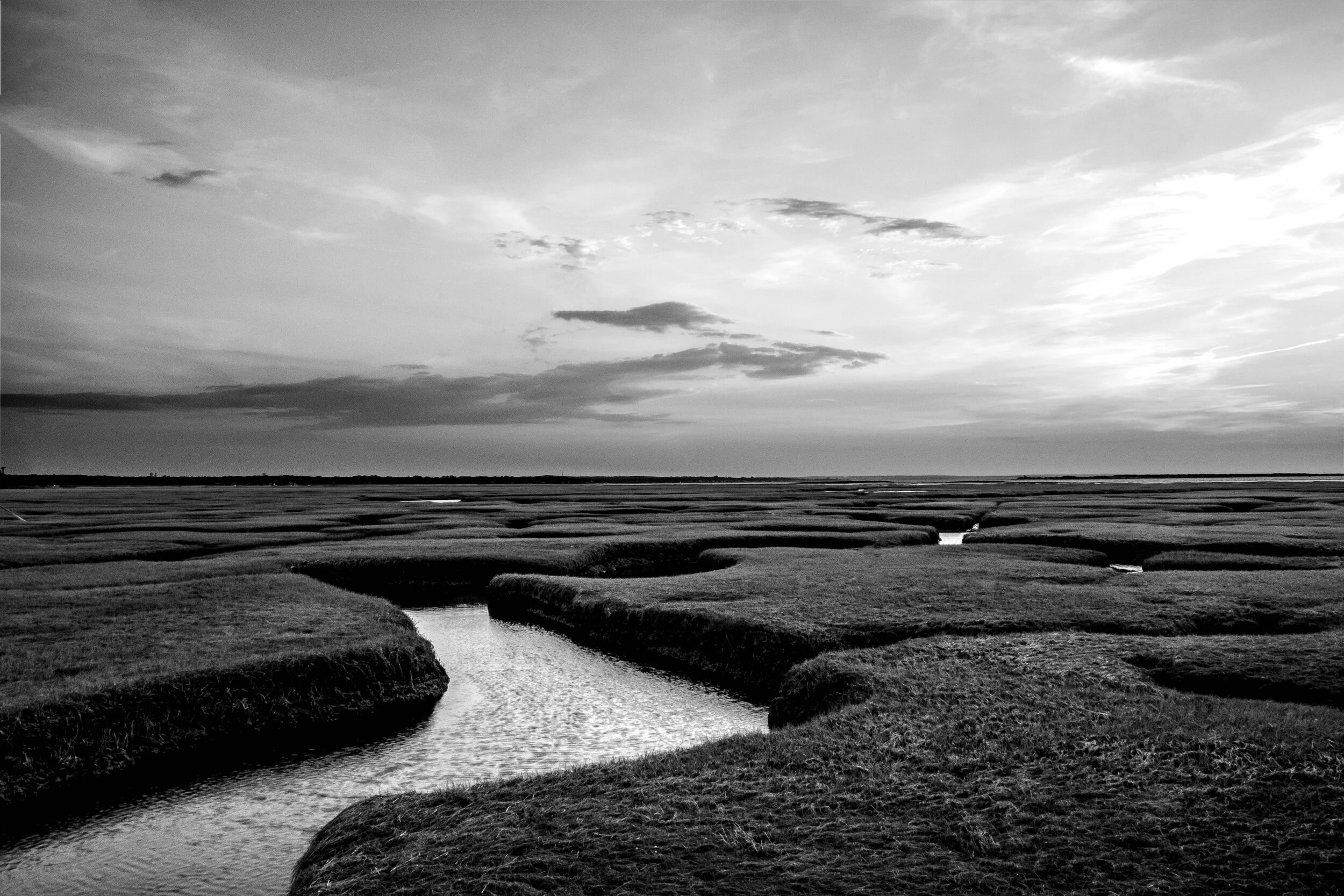 _DSF2687-Edit-Edit.jpg