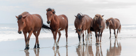 Screen Shot 2024-06-03 at 5.42.26 PM.png