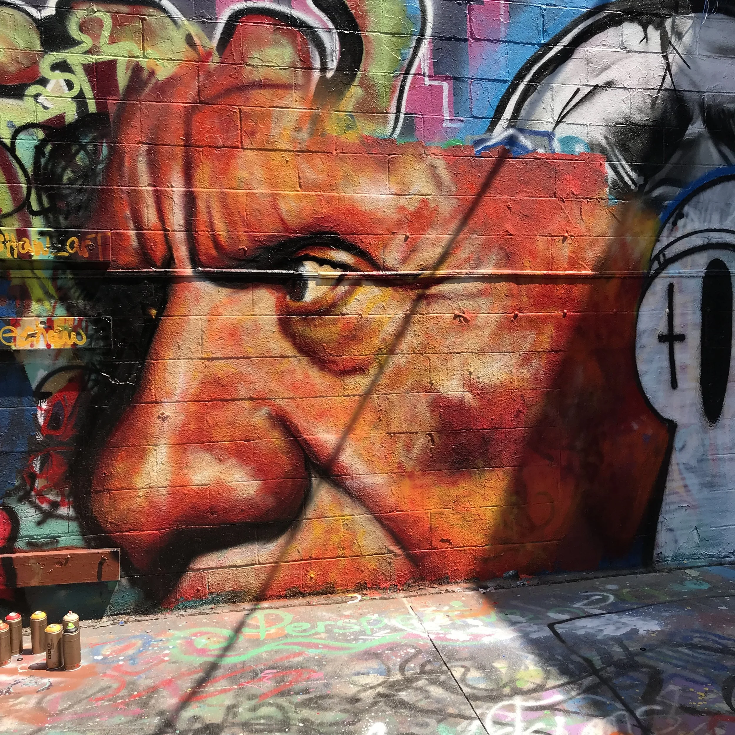 Picasso 
Graffiti Alley
2015