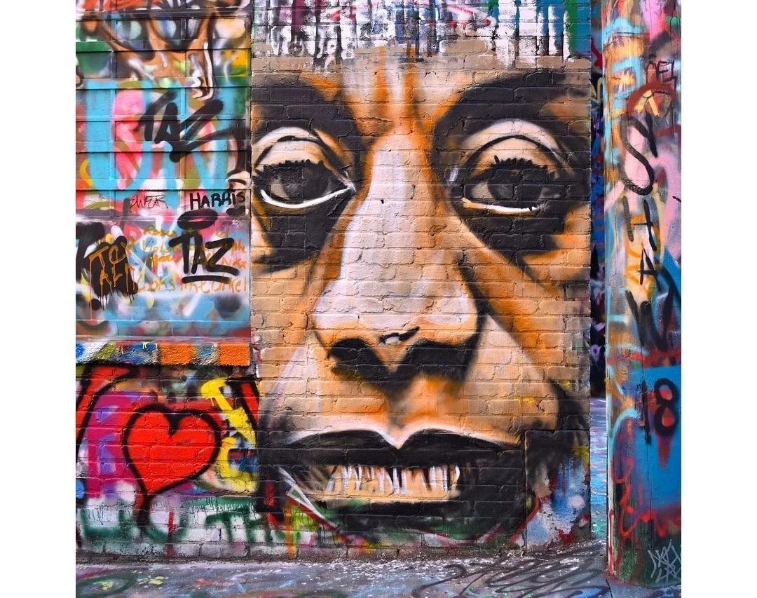 Baldwin
Graffiti Alley
2019