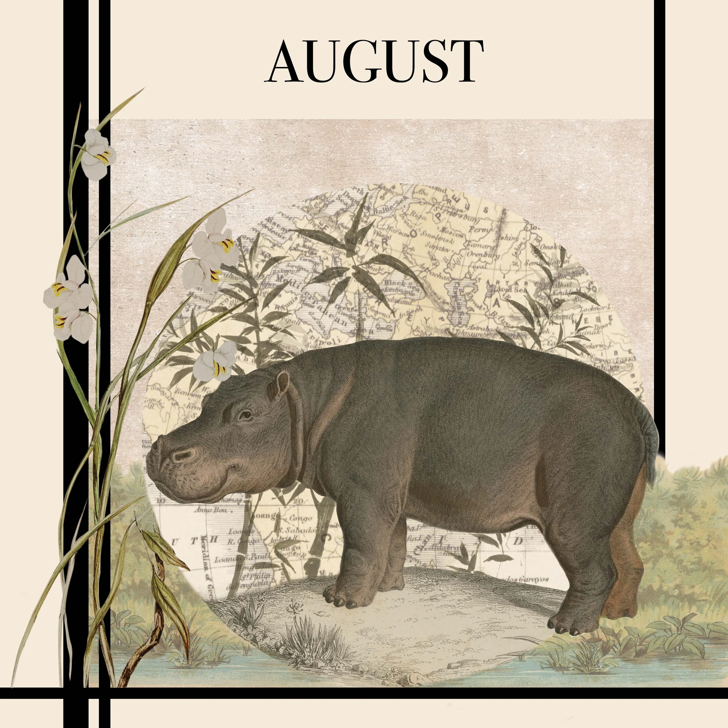 AUGUST.jpg