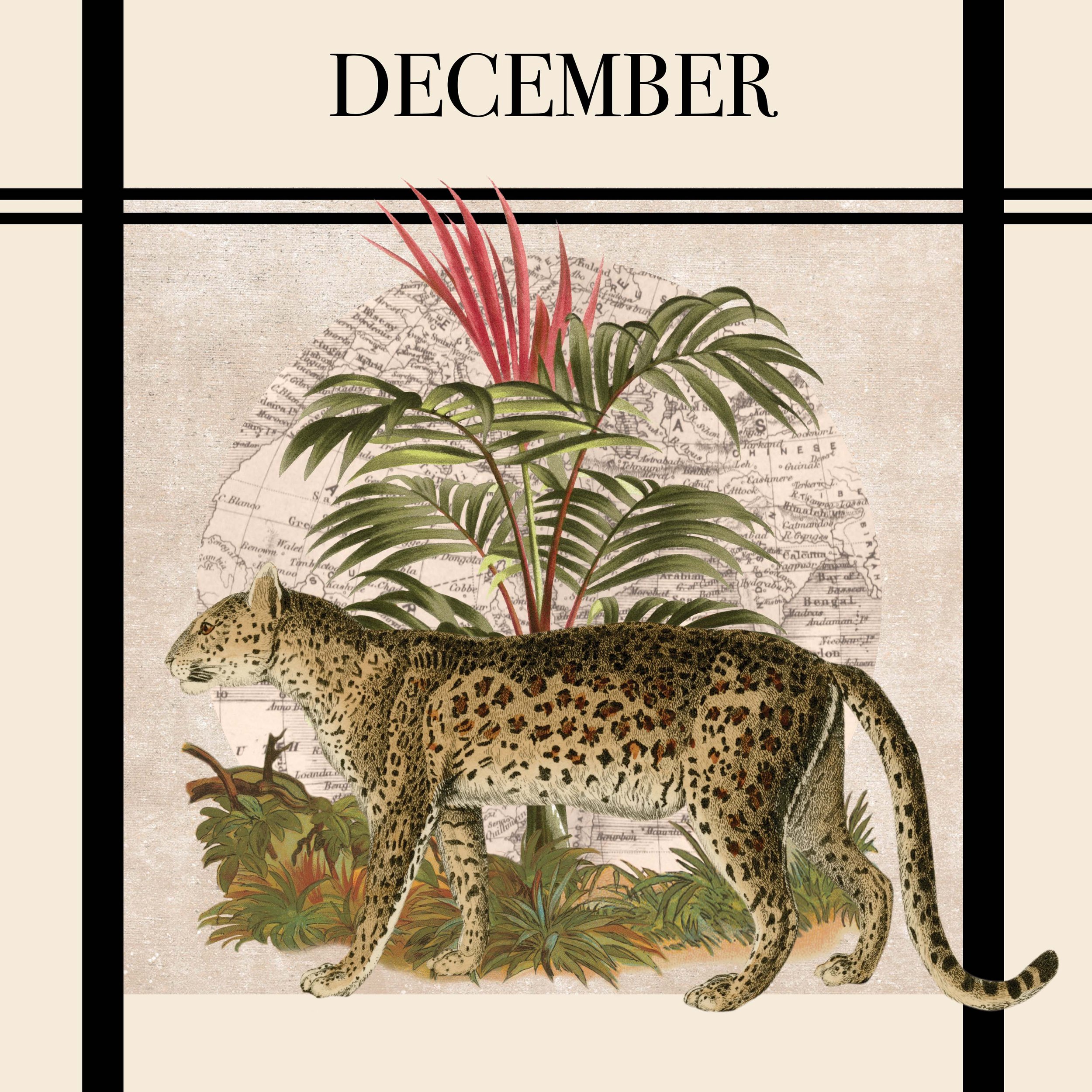 DECEMBER.jpg