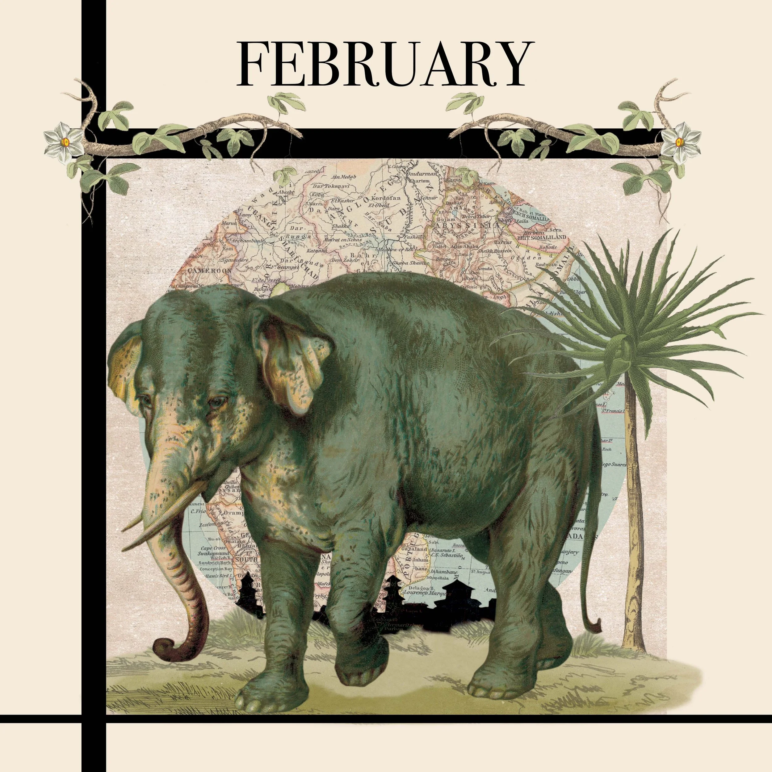 FEBRUARY.jpg