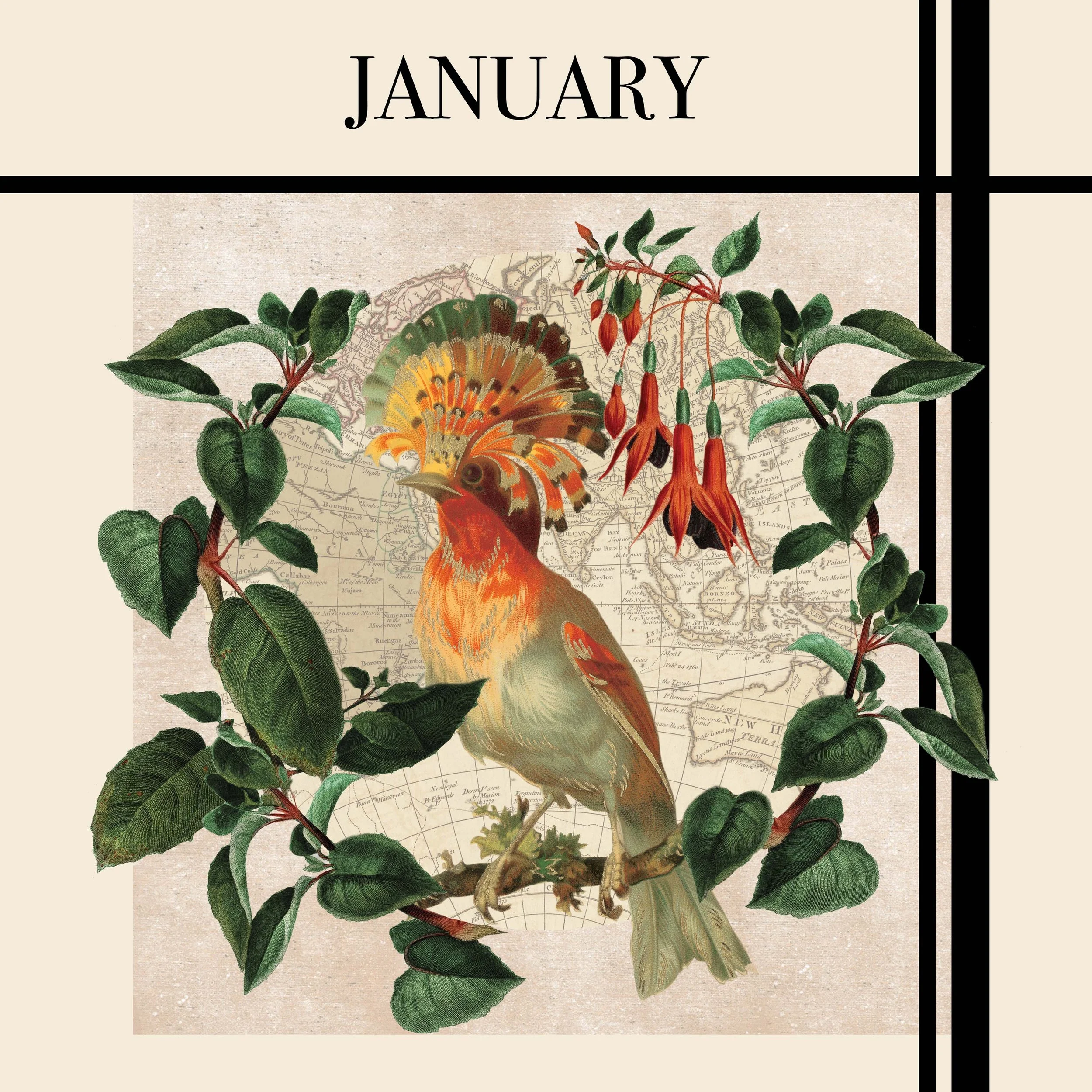 JANUARY.jpg