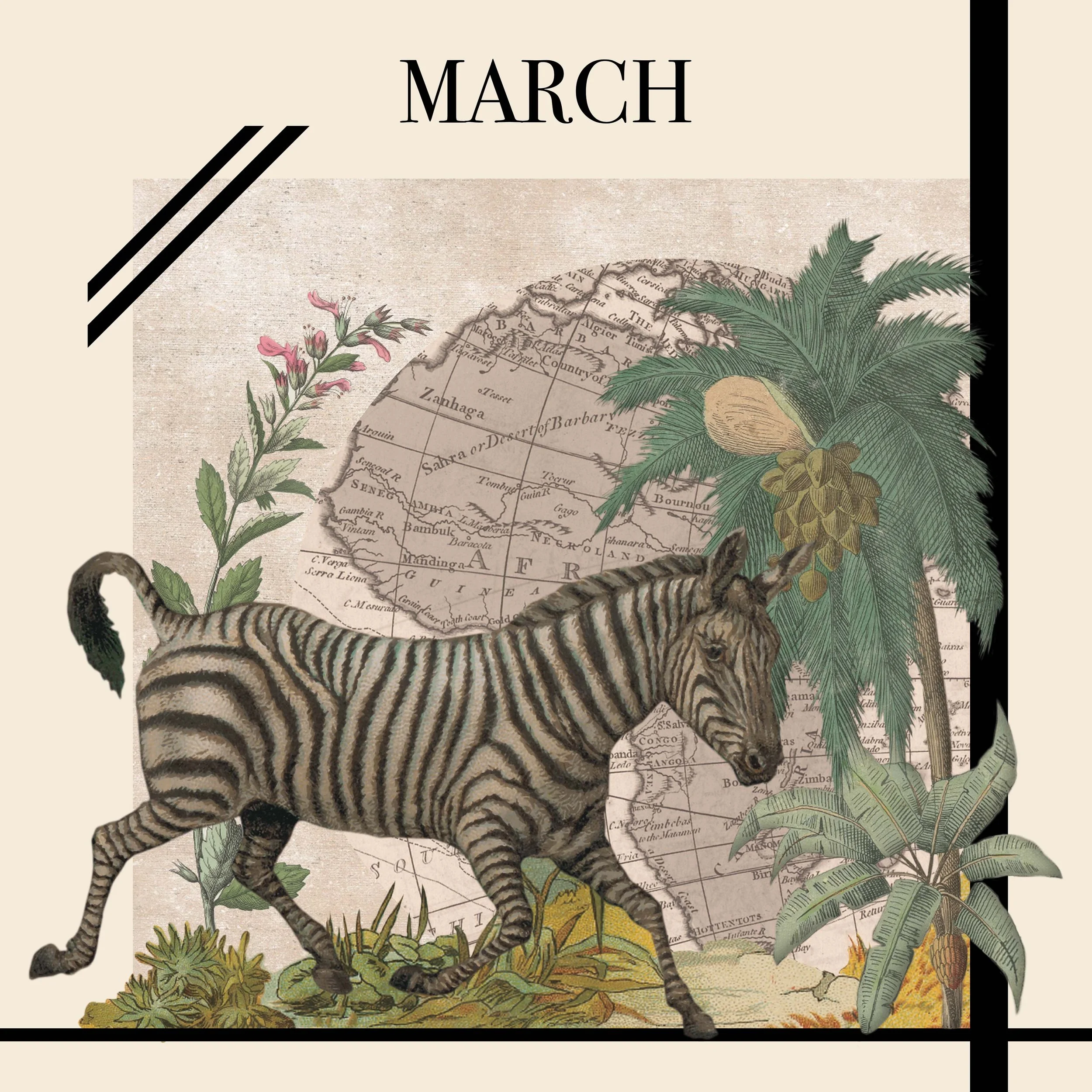 MARCH.jpg