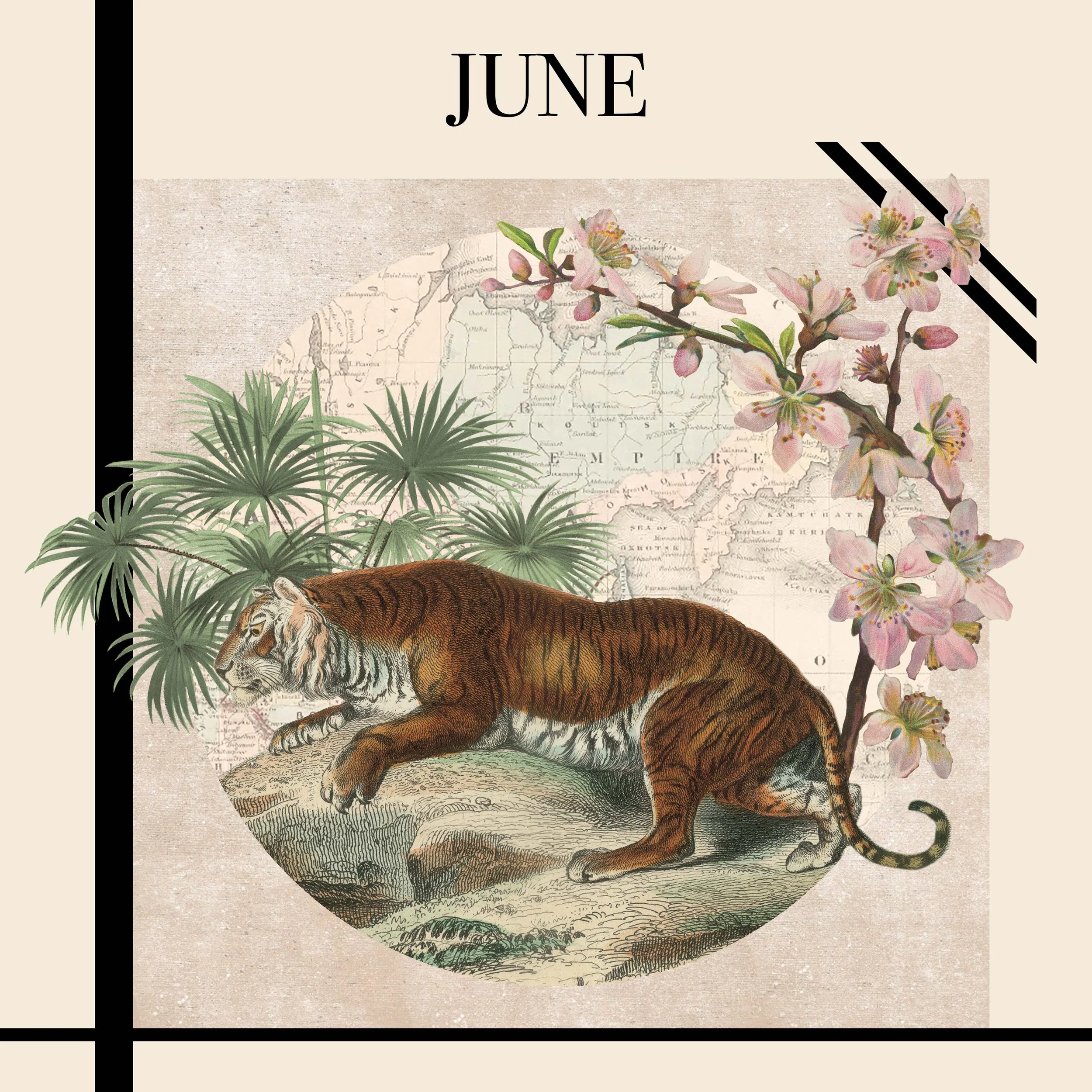 JUNE.jpg