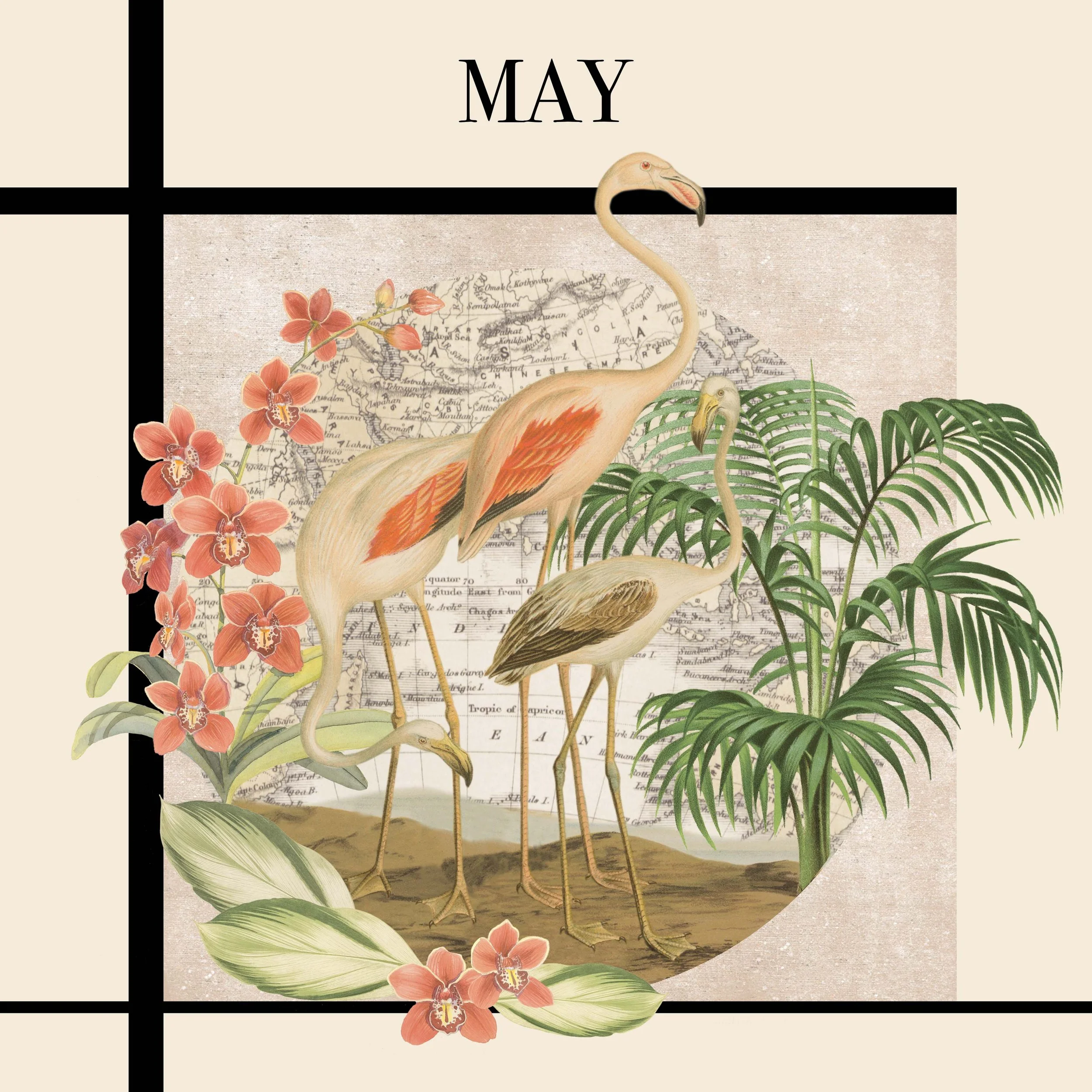 MAY.jpg