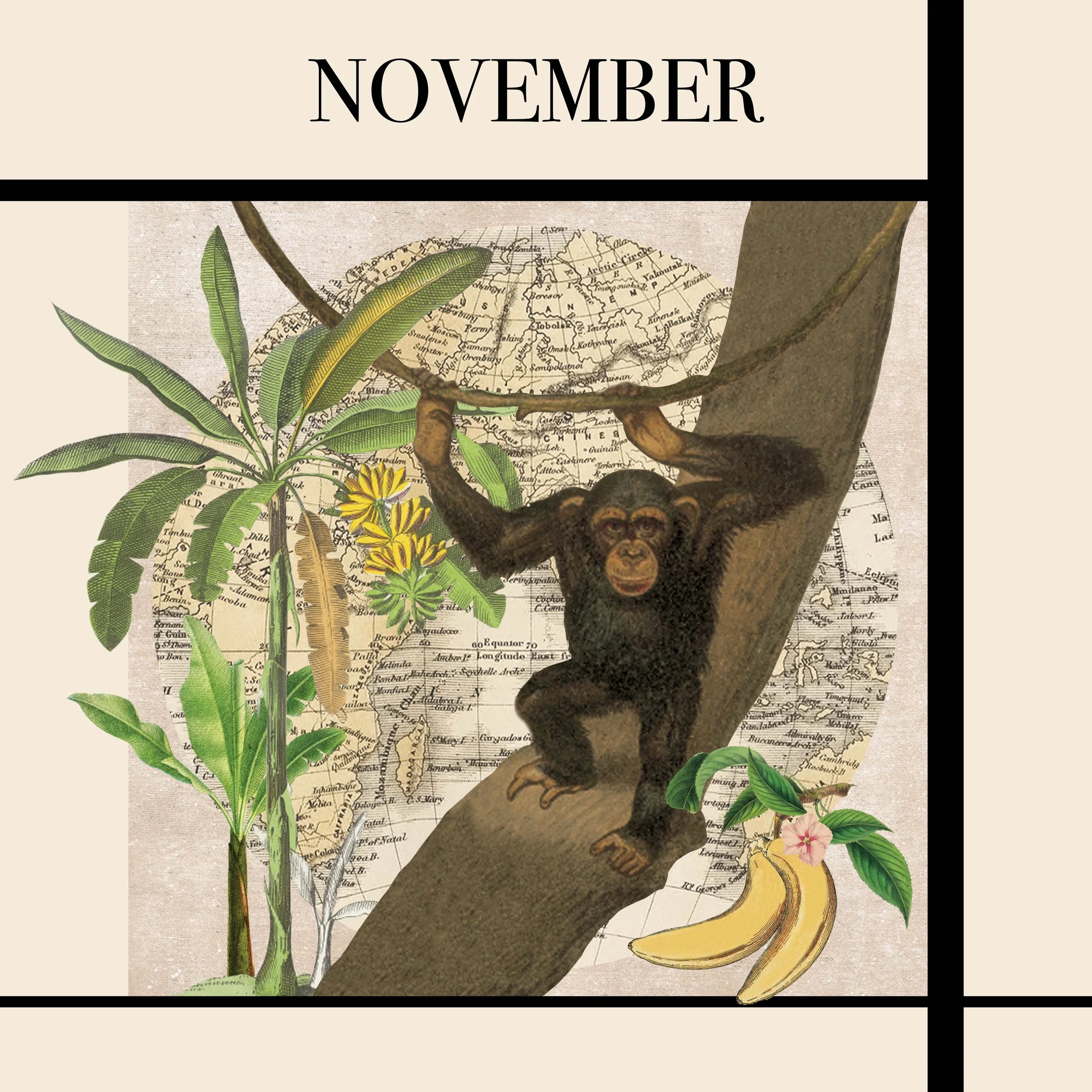 NOVEMBER.jpg