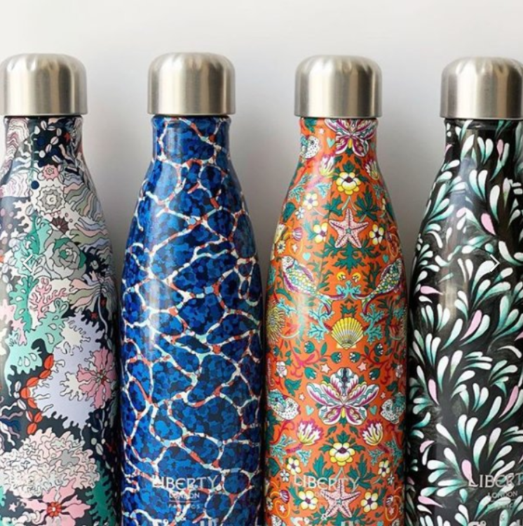 Stainless Steel Water Bottles