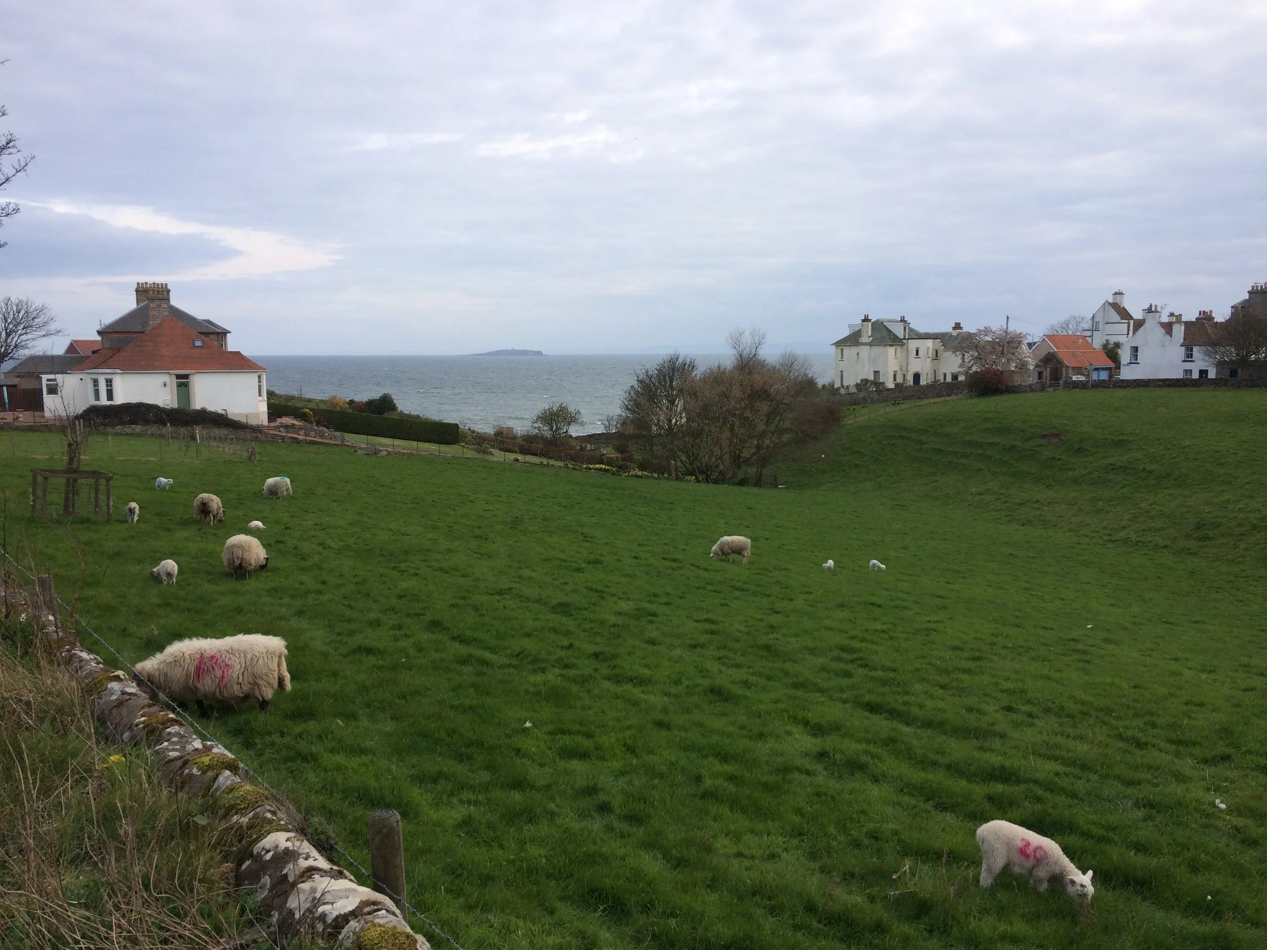 Your Story &amp; God's Story:  A Lenten Retreat over 6 weeks