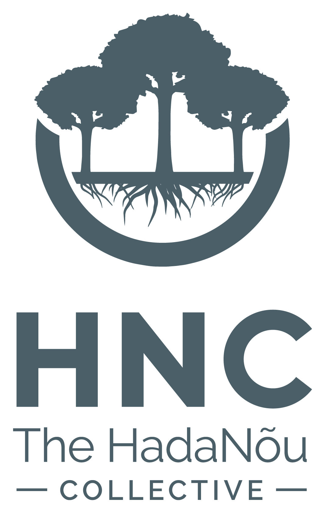 HNC%20Logo_Vert-Full%20Text-Blue.png