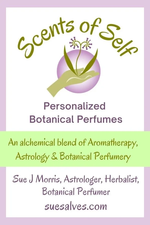 Scents of Self bus card.jpg