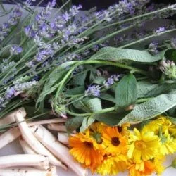 Personal perfumes based on your astrological birth chart—Sue blends astrology, aromatherapy and perfumery to create personalized scents designed to be uniquely your own