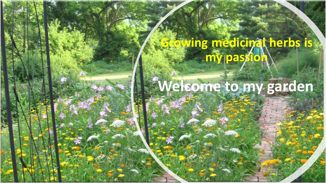 welcome to my garden.pdf.jpg