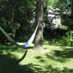 Hang out in the hammock